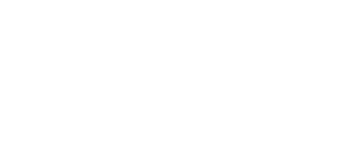 GF Securities