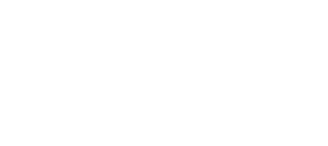 Skybridge Capital