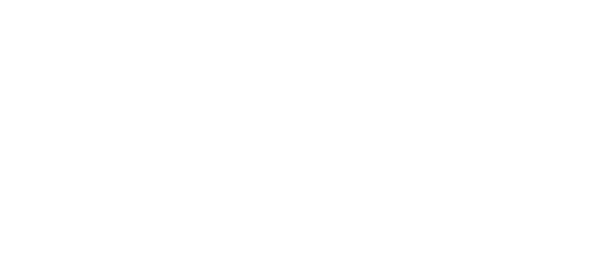 Perennial Value